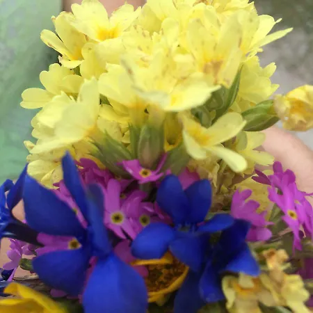 アパート Oberlehen Rohrberg