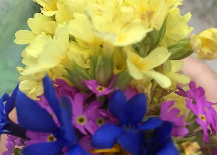 Daire Oberlehen Rohrberg